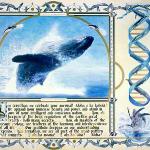 Aloha e ke Kohola - A study of Whales, and their endangered ones.