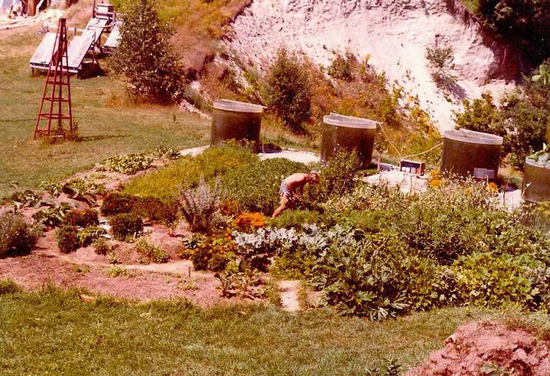 Dr. Barry Costa-Pierce working in the beds.  Note the dark green color of the solar algae ponds.